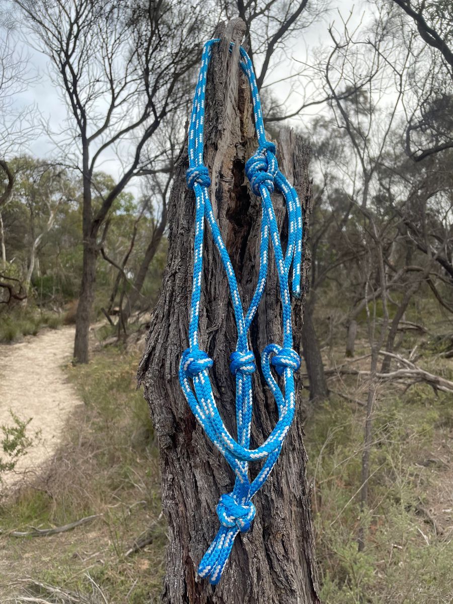 Blue/White Rope Halter