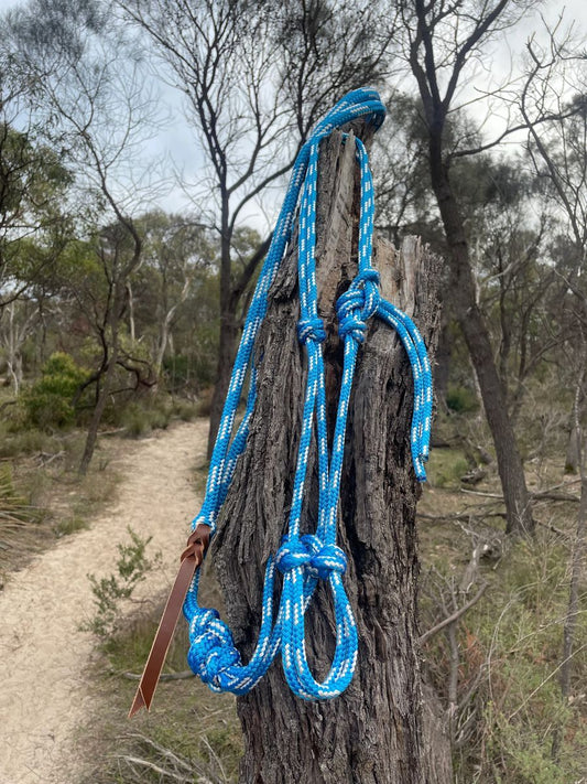 Blue Halter & Lead Set