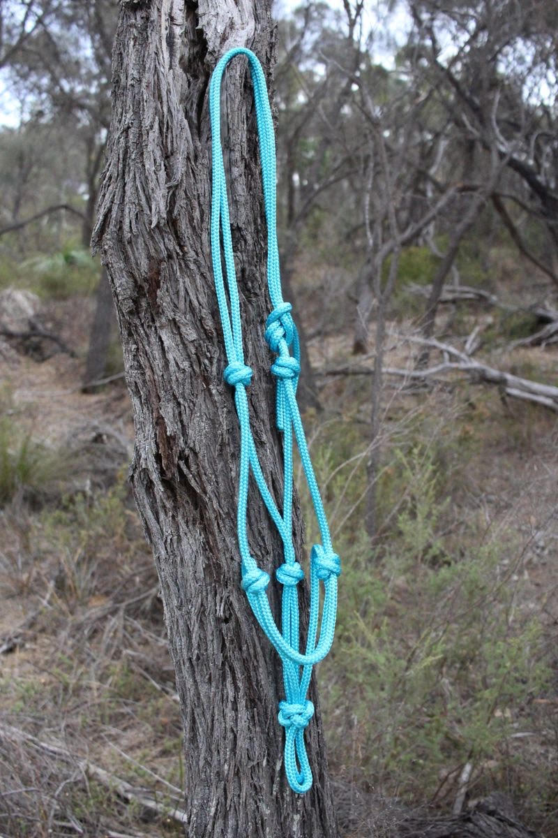 Aqua Rope Halter (Cob)