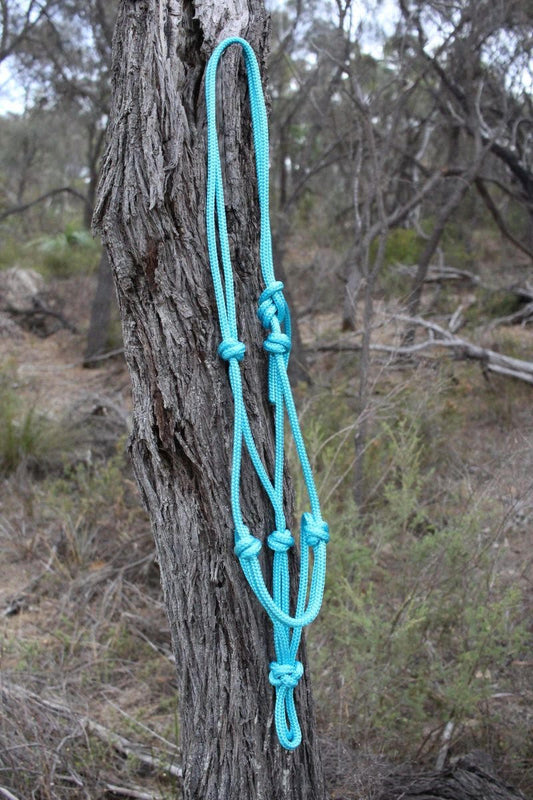 Aqua Rope Halter (Cob)