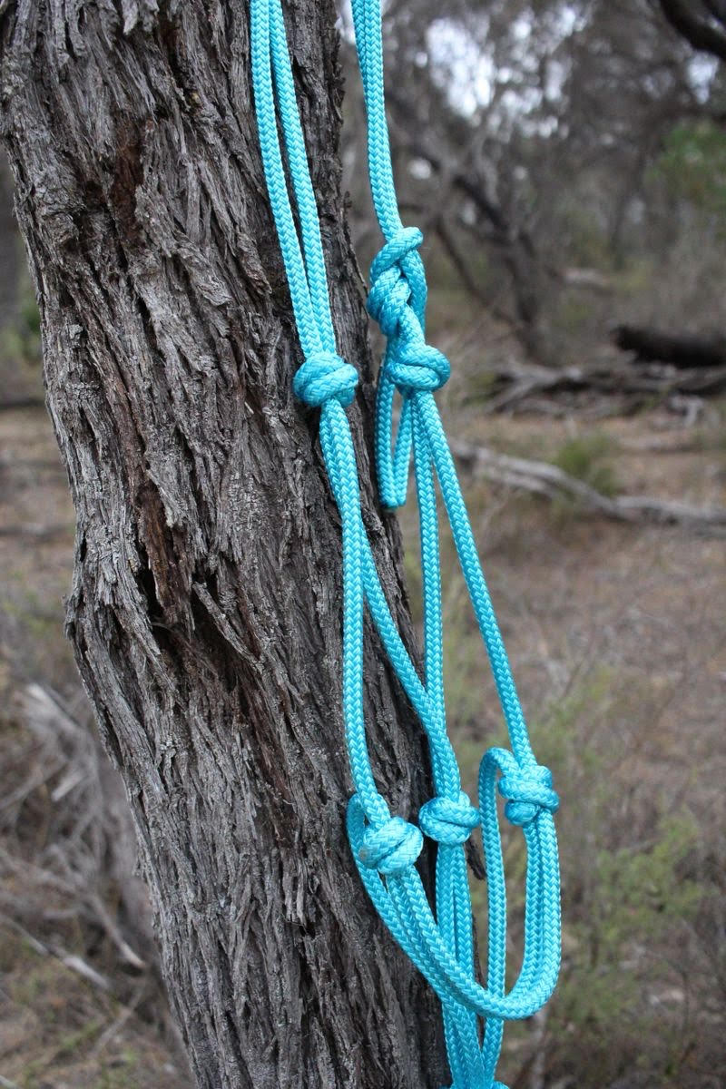 Aqua Rope Halter (Cob)